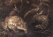 SCHRIECK, Otto Marseus van Still-Life with Insects and Amphibians (detail) qr painting
